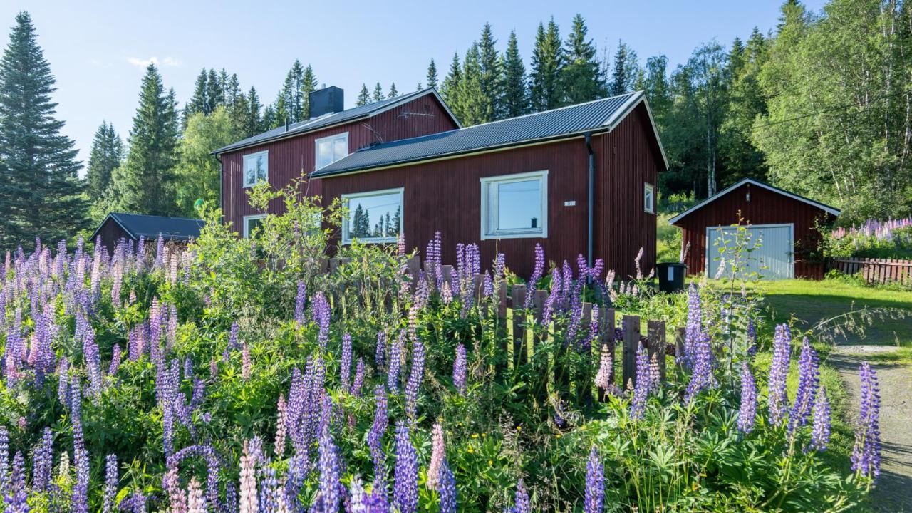 The Bear'S Den Villa Håkafot Exterior foto